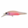 X - 80 Jr. (BFS) - Tackle Shack TX