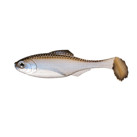 Panorama Swimbait - Tackle Shack TX