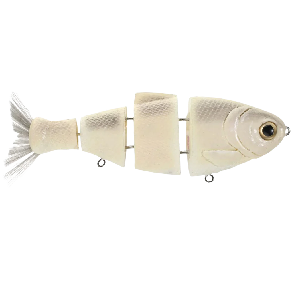 BUCCA BULLSHAD BONE