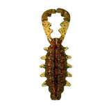 Bio Craw soft plastic bass lure in Old Earl