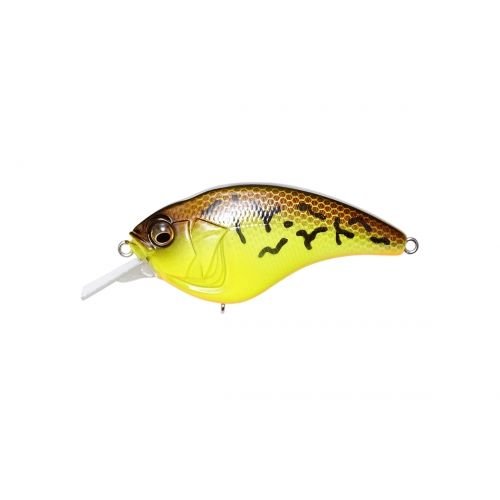 SONICSIDE - Tackle Shack TX
