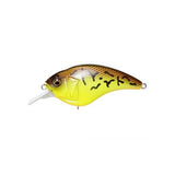 SONICSIDE - Tackle Shack TX