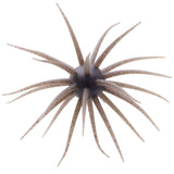 HideUp Coike FullCast Creature Bait