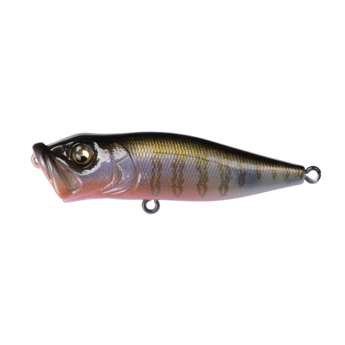 POPX - Tackle Shack TX