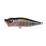 POPX - Tackle Shack TX