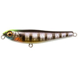 DOG - X Jr. COAYU (BFS) - Tackle Shack TX