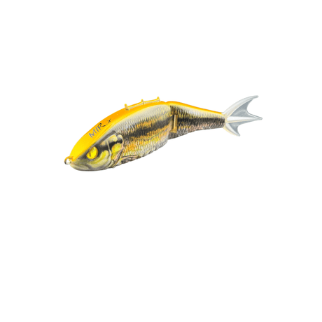 Double H – Tackle Shack TX Double H – Tackle Shack TX