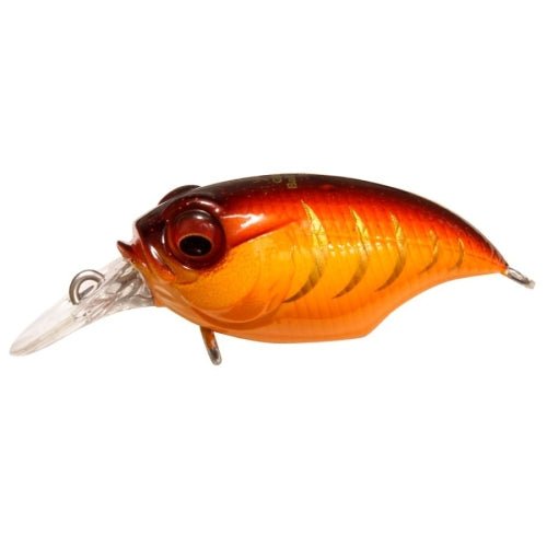 GRIFFON SR - X (BFS) - Tackle Shack TX