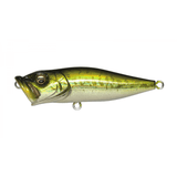 POPX - Tackle Shack TX
