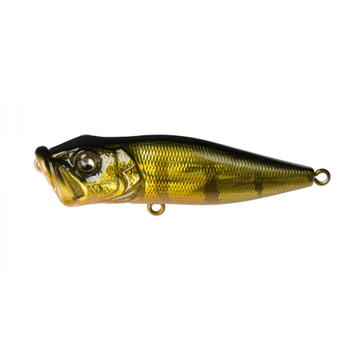POPX - Tackle Shack TX