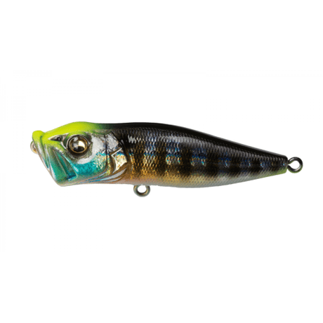 POPX - Tackle Shack TX