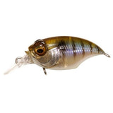 GRIFFON SR - X (BFS) - Tackle Shack TX
