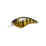 SONICSIDE - Tackle Shack TX