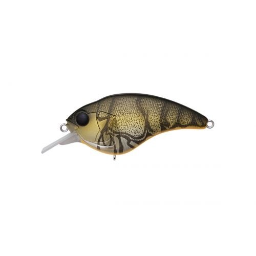 SONICSIDE - Tackle Shack TX