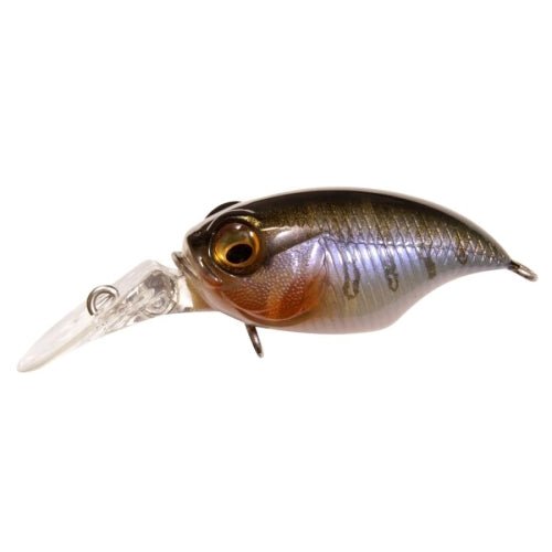 GRIFFON MR - X (BFS) - Tackle Shack TX