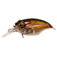 GRIFFON SR - X (BFS) - Tackle Shack TX