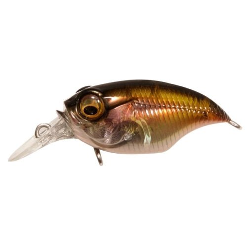 GRIFFON SR - X (BFS) - Tackle Shack TX