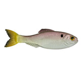 Panorama - Tackle Shack TX