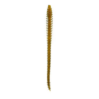 Boosa Shakey Worm 6.5 - Tackle Shack TX