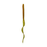 Boosa Ribbon Tail 9.6 - Tackle Shack TX