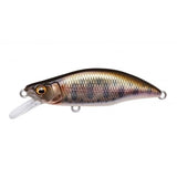 GH64 HUMPBACK (FS) - Tackle Shack TX