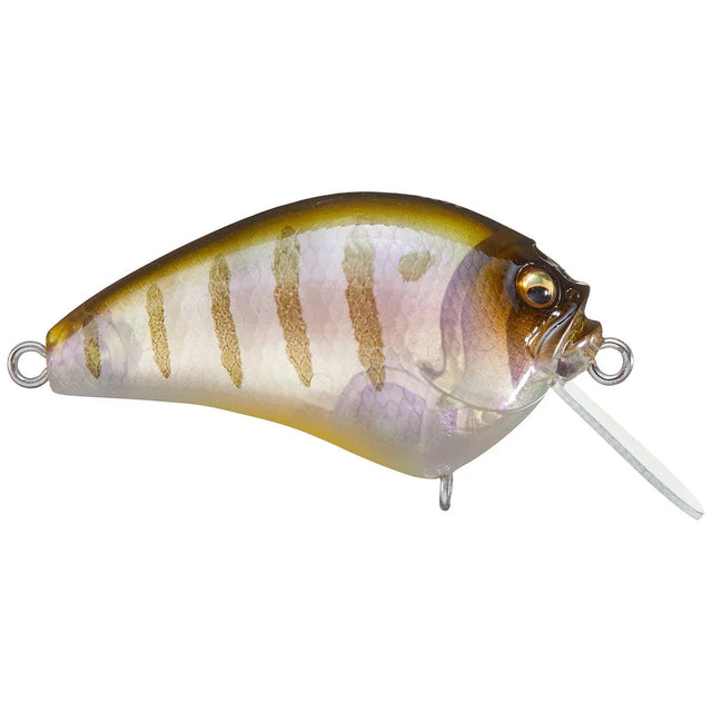 Megabass IxI Blowly Crankbait - Tackle Shack TX