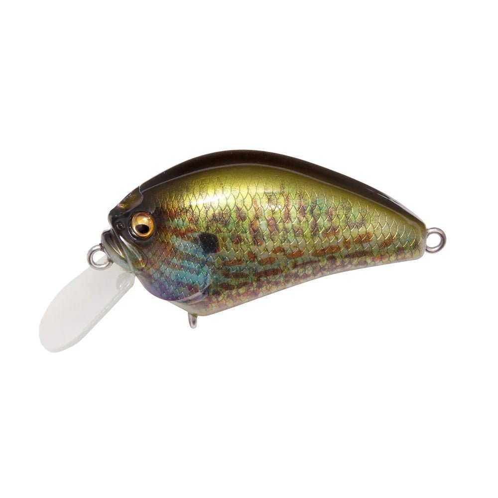 Megabass IxI Blowly Crankbait - Tackle Shack TX