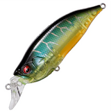 Megabass IxI Shad Type R - Tackle Shack TX