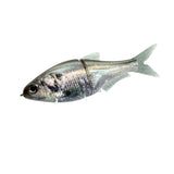 86 Baits - Andromeda - Tackle Shack TX