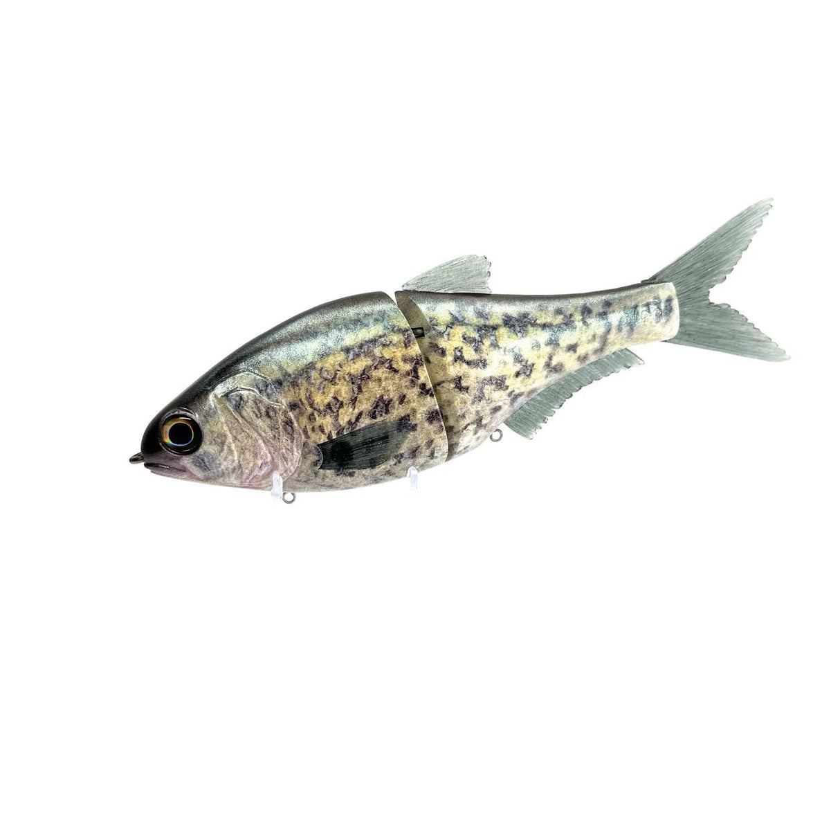 86 Baits - Andromeda - Tackle Shack TX