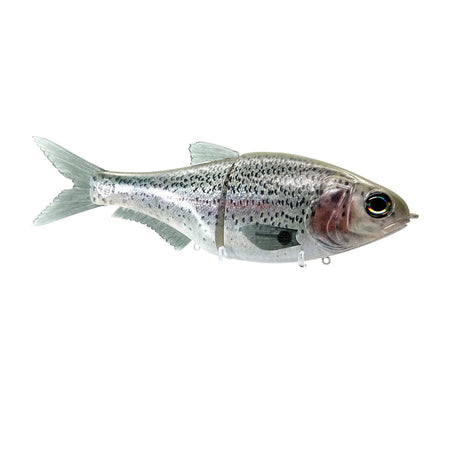 86 Baits - Andromeda - Tackle Shack TX