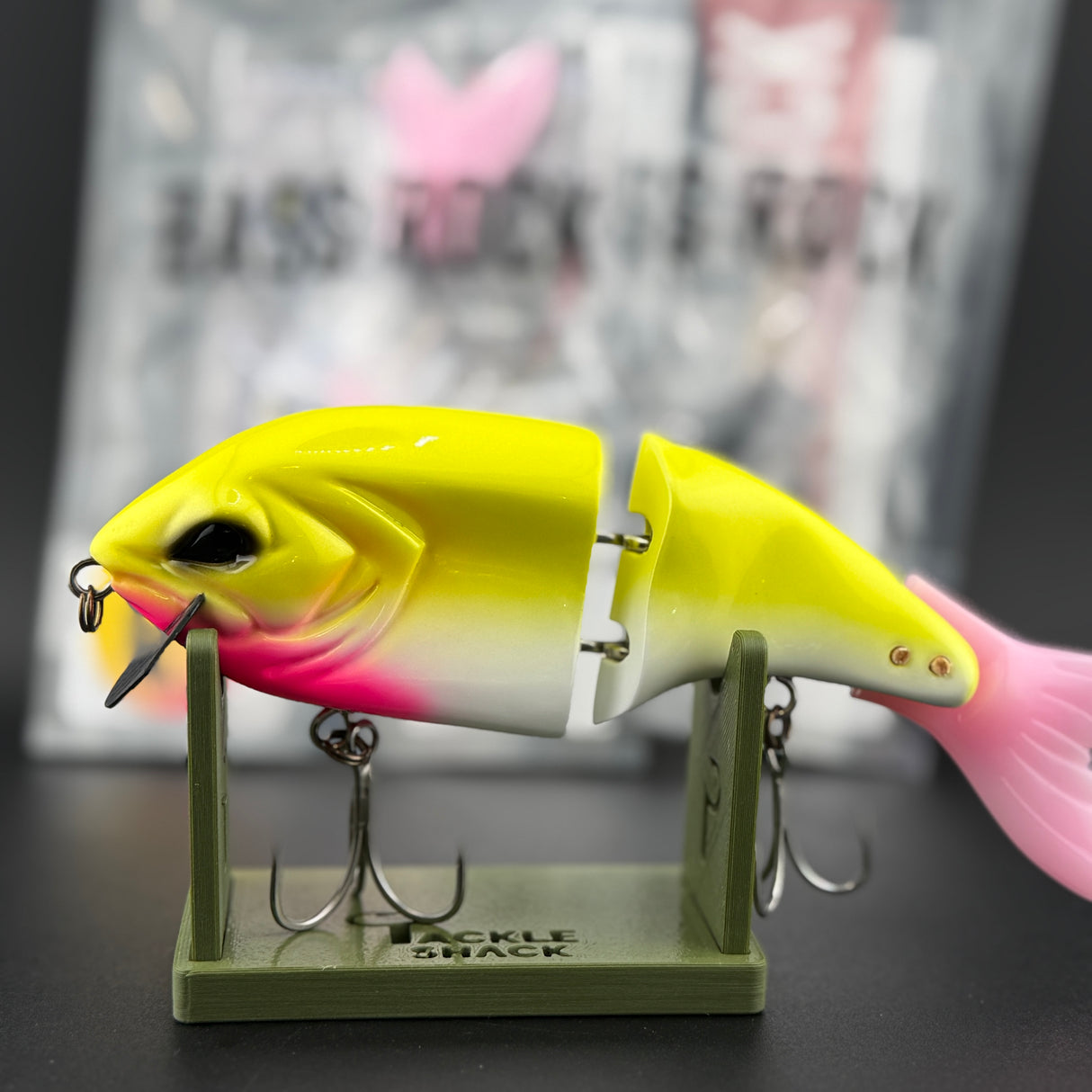 BASS ROCK CYNICAL (Limit 1 BASS ROCK Per HOUSEHOLD)