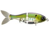 BUCCA TRICK SHAD - 6IN ABS