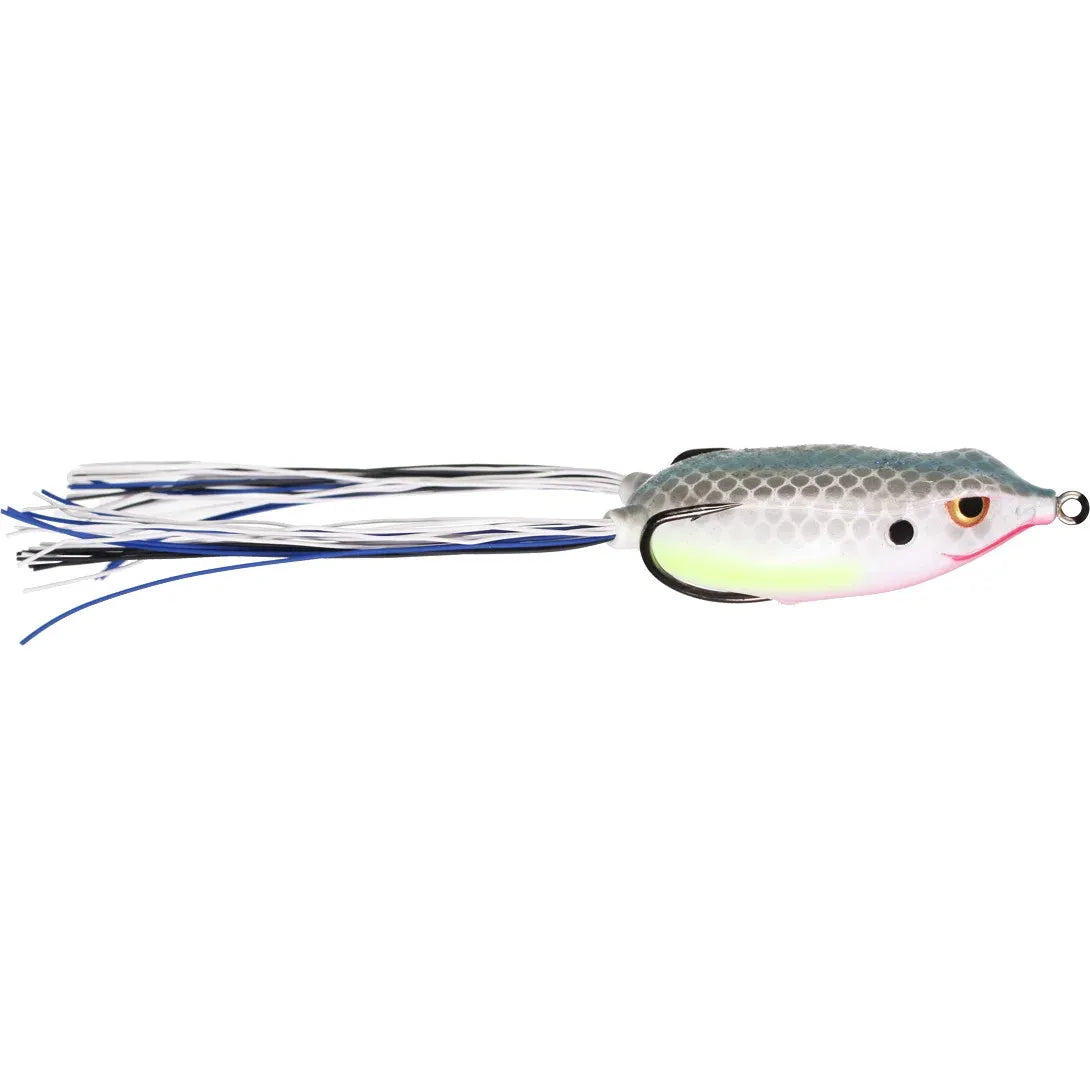 BRONZEYE FROG 65