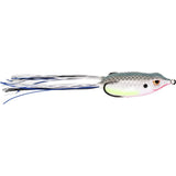 BRONZEYE FROG 65