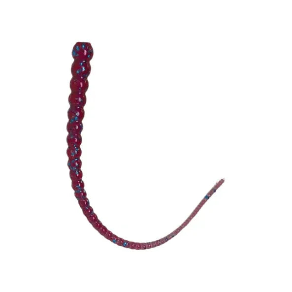 Whip Worm