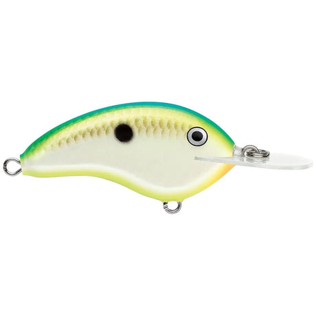 Ott's Garage Deep Tiny 07 - Tackle Shack TX