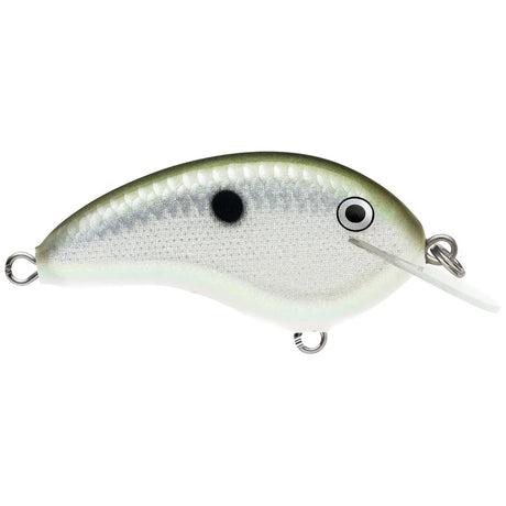 Ott's Garage Tiny 04 - Tackle Shack TX