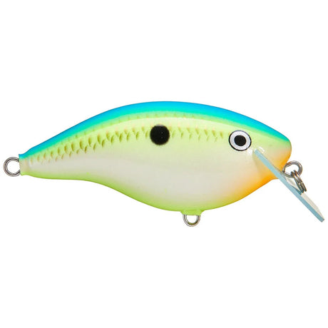 Ott's Garage Big Rocco 6 - Tackle Shack TX