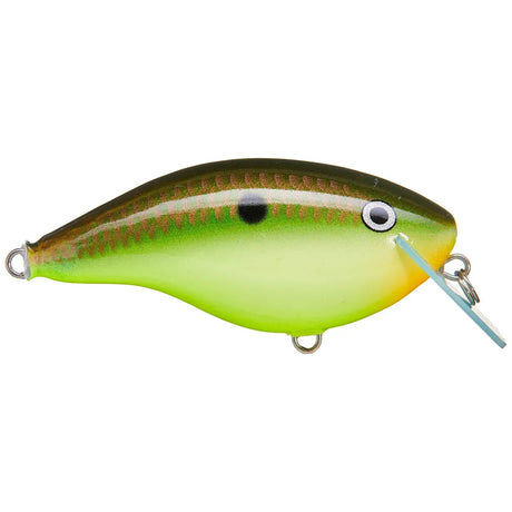 Ott's Garage Big Rocco 6 - Tackle Shack TX