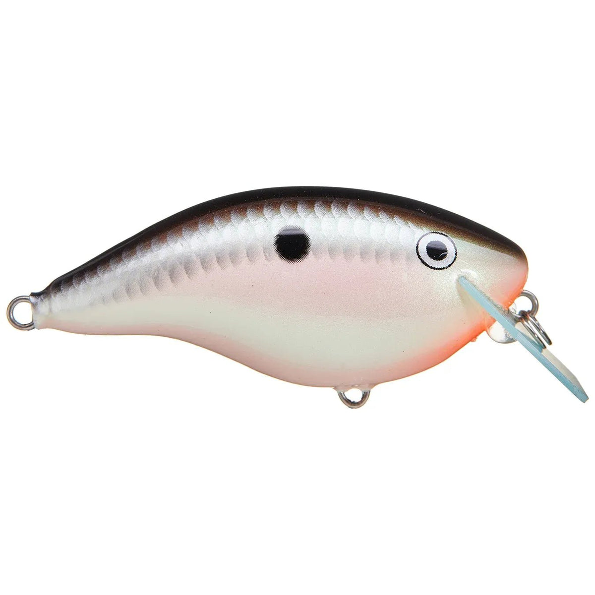 Ott's Garage Big Rocco 6 – Tackle Shack TX