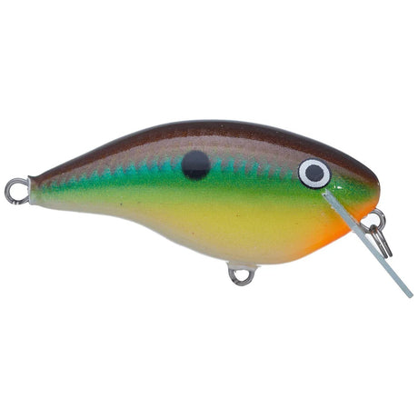 Ott's Garage Rocco 05 - Tackle Shack TX