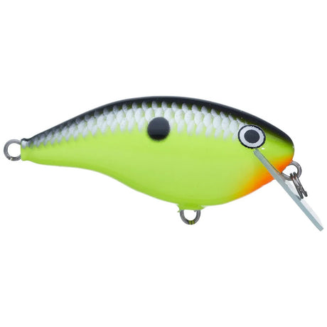 Ott's Garage Rocco 05 - Tackle Shack TX