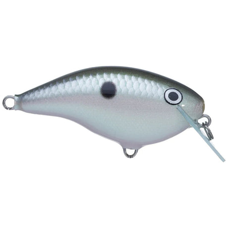 Ott's Garage Rocco 05 - Tackle Shack TX