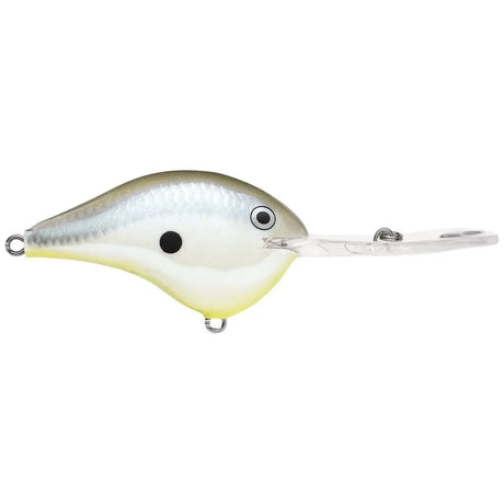 Dives - To Metal 20 - Tackle Shack TX