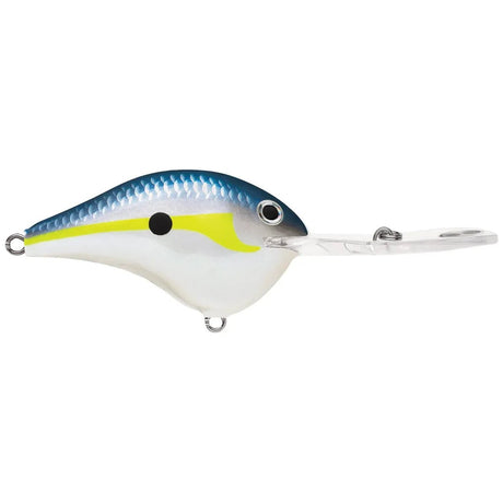 Dives - To Metal 20 - Tackle Shack TX