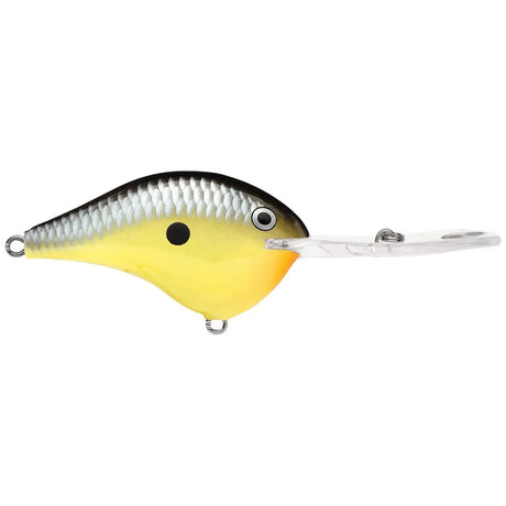 Dives - To Metal 20 - Tackle Shack TX