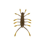 6th Sense Huzz Bug