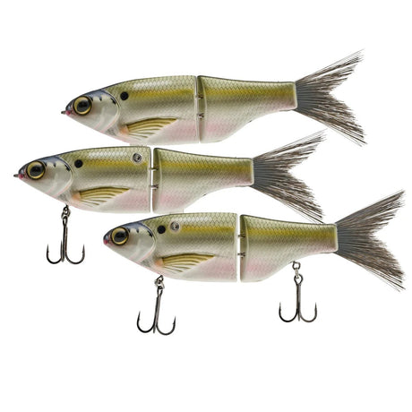 KGB K - RIG CS3 - Tackle Shack TX