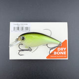 REVONIK SaraMoa DryBone